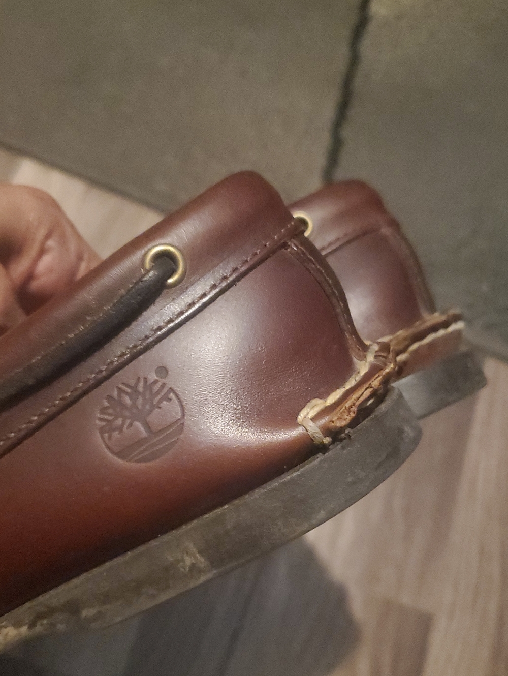 Timberland - Picture 11 of 16